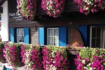 Tourism town landscape upgrade the balcony garden of guest house