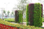 Municipal road landscape upgrade 3
