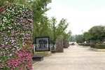 Square Park Landscape upgrade 3