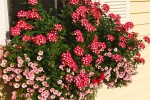 Improve the window sill beautification of high-end apartment