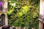 Vertical landscape improvement of restaurant