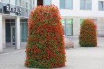 Improvement of community landscape 1