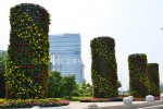 Square Park Landscape upgrade 2