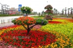 Road and street landscape upgrade 2