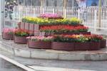 Road street landscape upgrade 2 bus stop