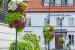 Road and street landscape upgrade 4