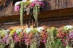 Tourism town landscape promotes the window sill beautification of guest house