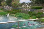 Landscape improvement of rivers and levees