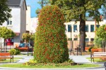 Square landscape upgrade 3