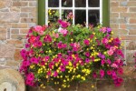 Tourism town landscape promotes the window sill beautification of guest house