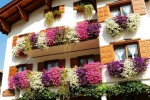Tourism town landscape promotes the window sill beautification of guest house