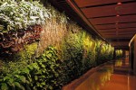 Hotel landscape promotes vertical greening of indoor plant wall