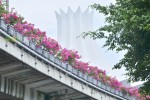 Landscape improvement of overpass
