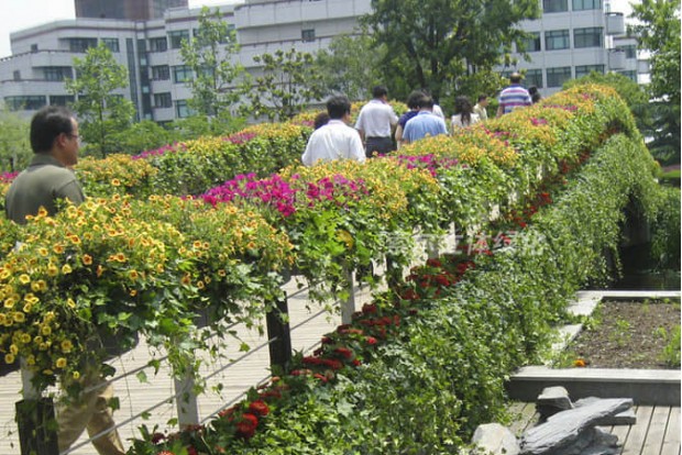 Square Park landscape improvement