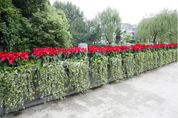 Improvement of municipal road landscape