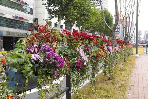 Improvement of municipal road landscape