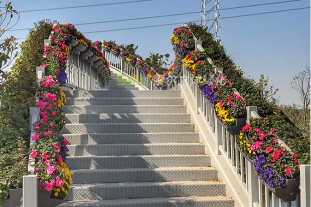 Square Park landscape improvement