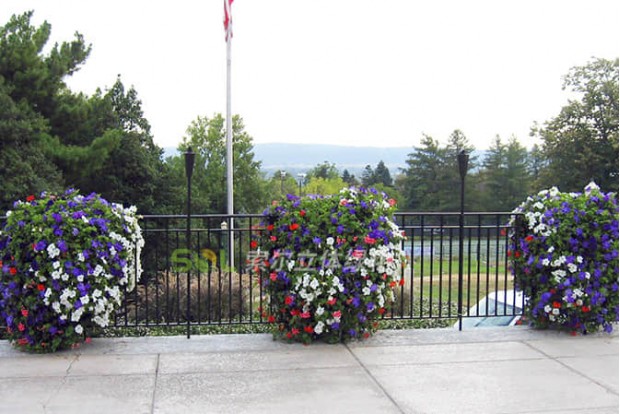 Building landscape improvement