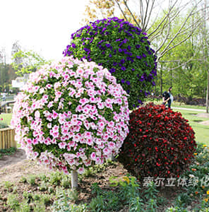 Flower ball with small pots