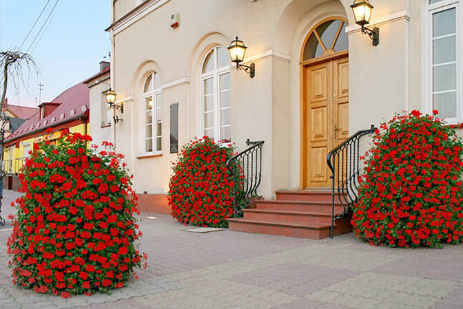 Improvement of community landscape 2