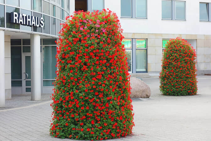 Improvement of community landscape 1