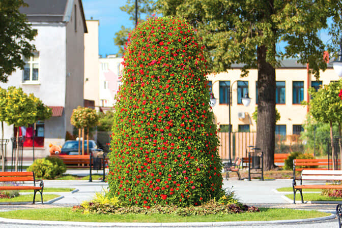 Square landscape upgrade 3