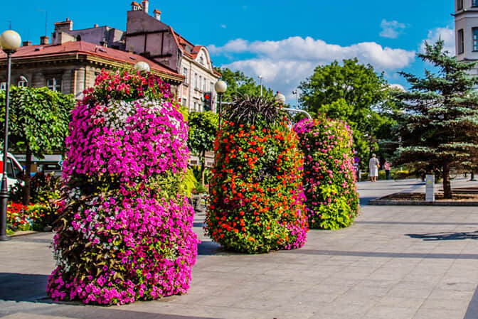 Square landscape upgrade 1