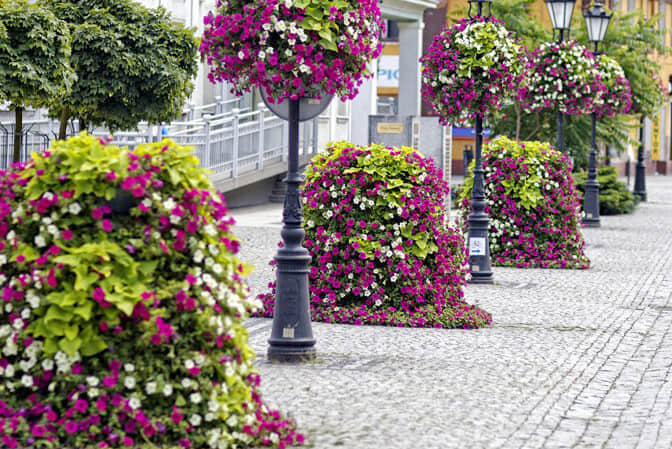 Road street landscape upgrade 4 pedestrian street landscape upgrade 3