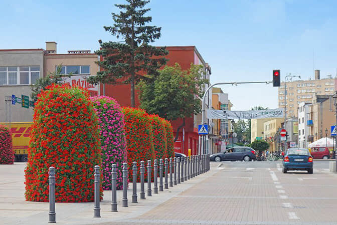 Road and street landscape upgrade 1