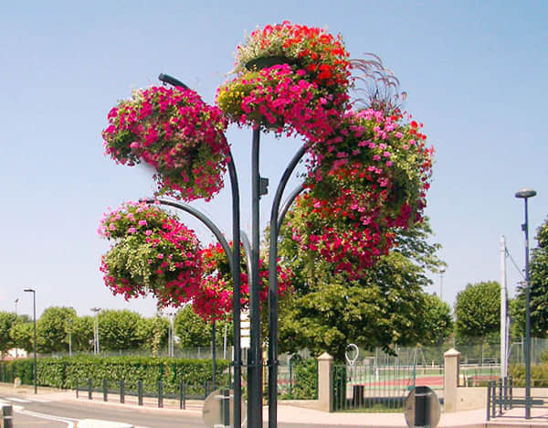 Introduction to flower tree solution 1