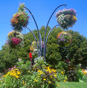Hanging pot type combination flower tree