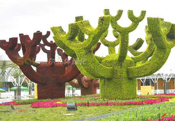 Square landscape improvement