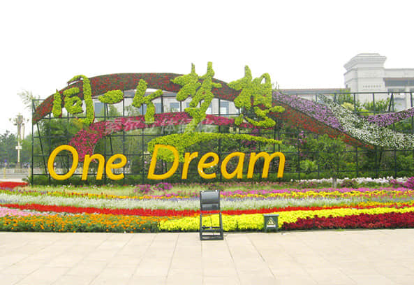 Square landscape improvement