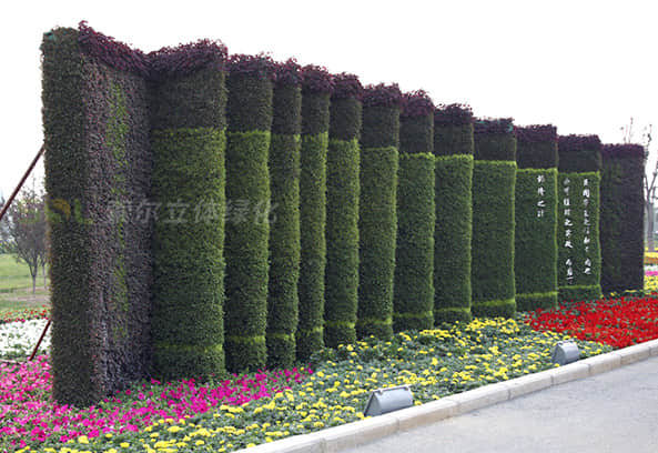 Scenic spot landscape promotion