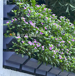 Facade guardrail greening