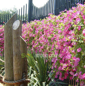 Facade guardrail greening