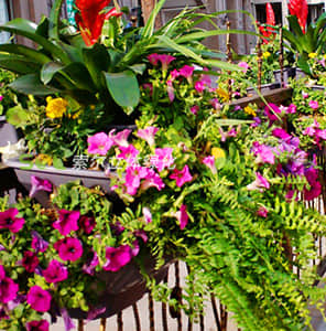 Guardrail Greening - double side hanging