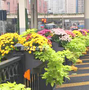 Guardrail Greening - double side hanging