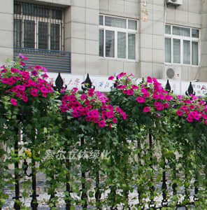 Guardrail Greening - single side hanging