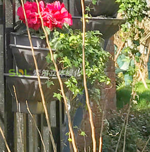 Guardrail Greening - single side hanging
