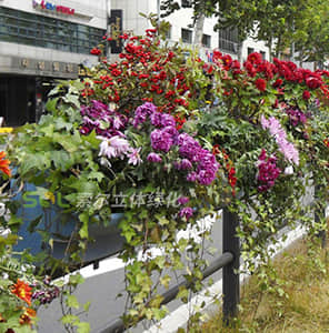 Guardrail Greening - single side hanging