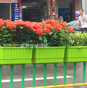 Riding guardrail greening