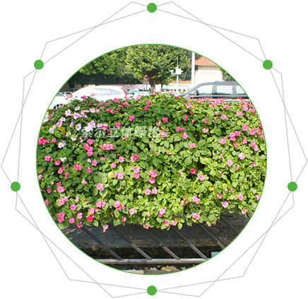 Characteristics of guardrail greening