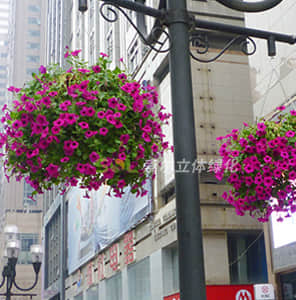 Hanging pole greening