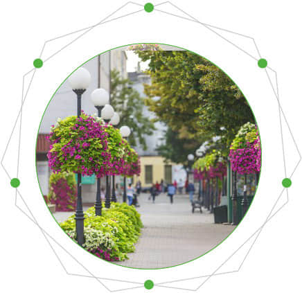 Characteristics of light pole greening