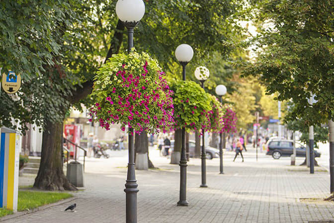 Road and street landscape upgrade 3