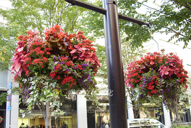 Road and street landscape upgrade 1