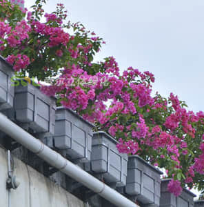 Outside hanging viaduct greening