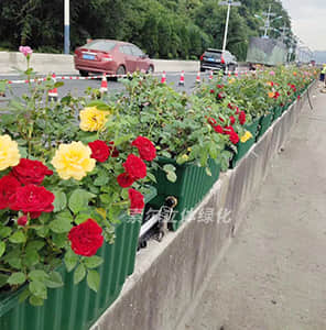 New intelligent viaduct greening