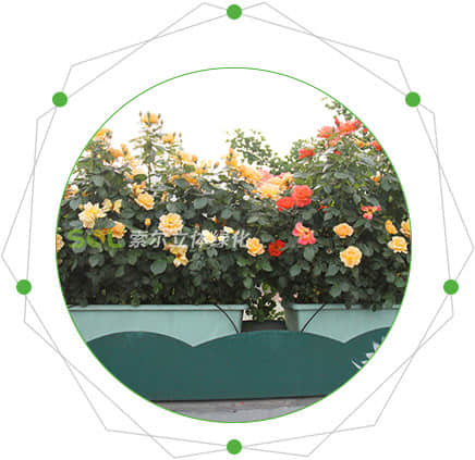 Characteristics of viaduct greening